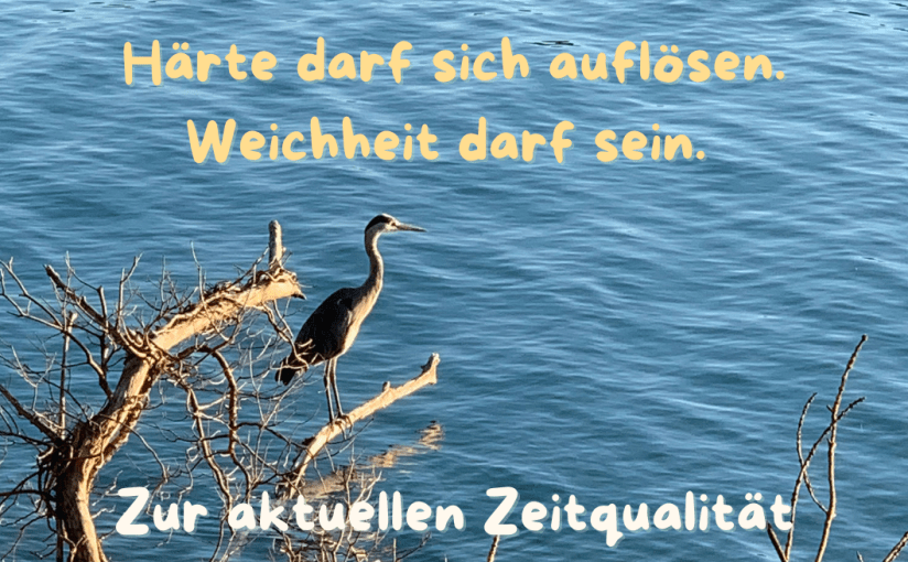 Härte darf sich auflösen. Weichheit darf&nbsp;sein.